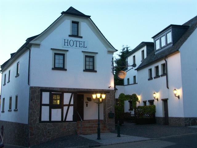 Hotel Restaurant Zur Pfanne Urbar  Esterno foto